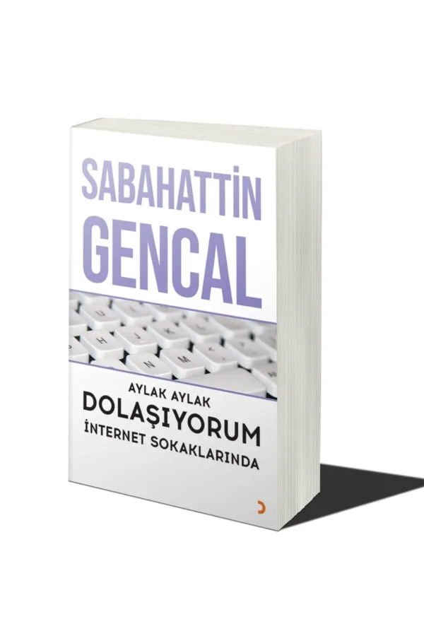 Aylak Aylak Dolaşıyorum İnternet Sokaklarında