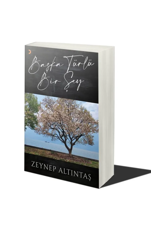 Başka Türlü Bir Şey
