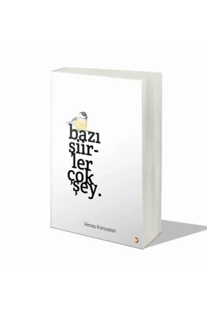 Bazı Şiirler Çok Şey