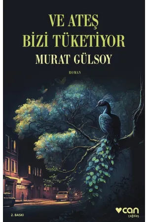 Ve Ateş Bizi Tüketiyor (Yeni Kapak) | Albatros Kitap