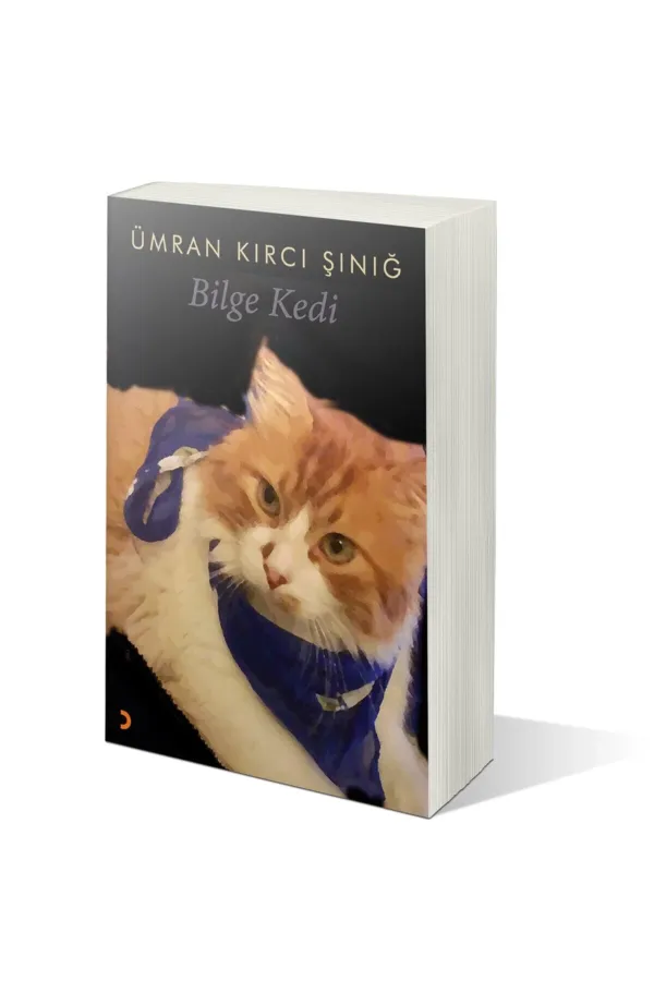 Bilge Kedi