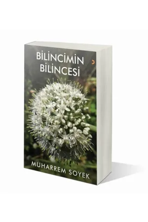 Bilincimin Bilincesi
