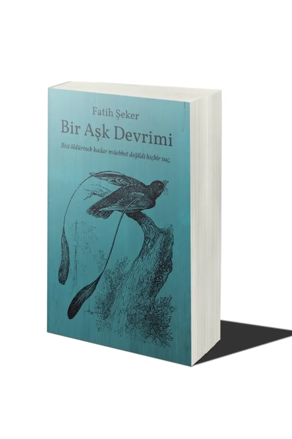 Bir Aşk Devrimi