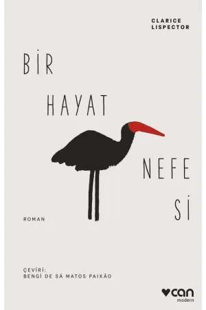 Savaşta Bir Yazar | Albatros Kitap