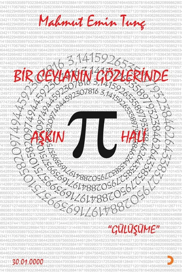 Bir Ceylanın Gözlerinde Aşkın Pi Hali