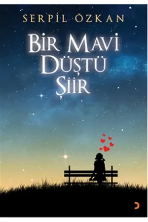 Bir Mavi Düştü Şiir
