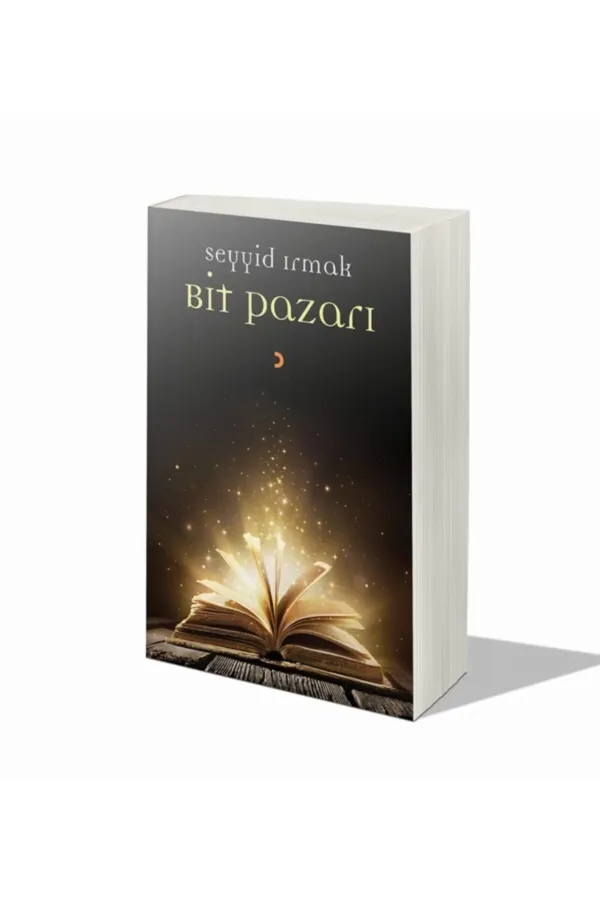 Bit Pazarı