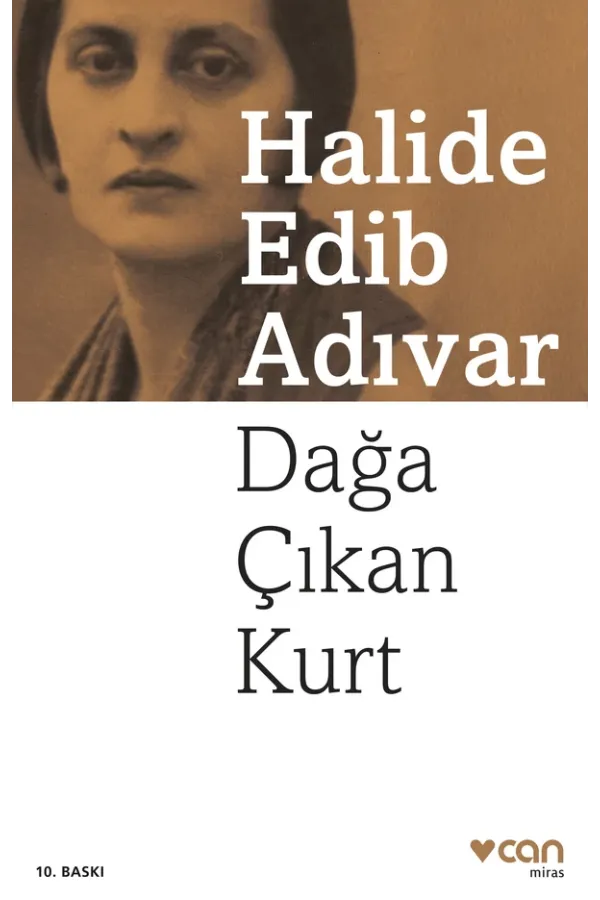 Dağa Çıkan Kurt