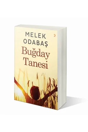 Buğday Tanesi