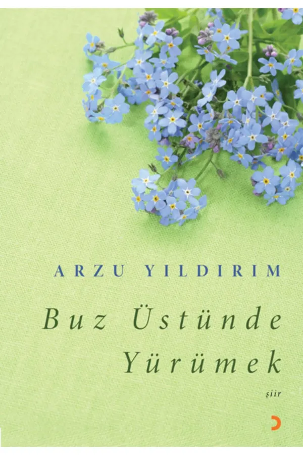 Buz Üstünde Yürümek