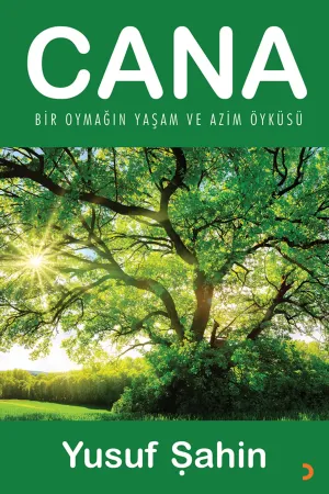 Öykü